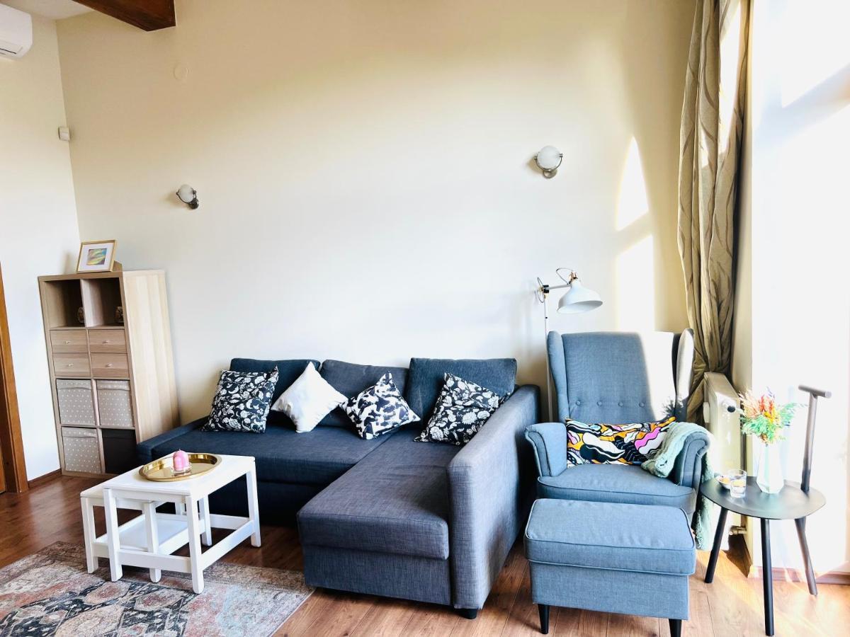 Super Apartment Old Town 克莱佩达 外观 照片