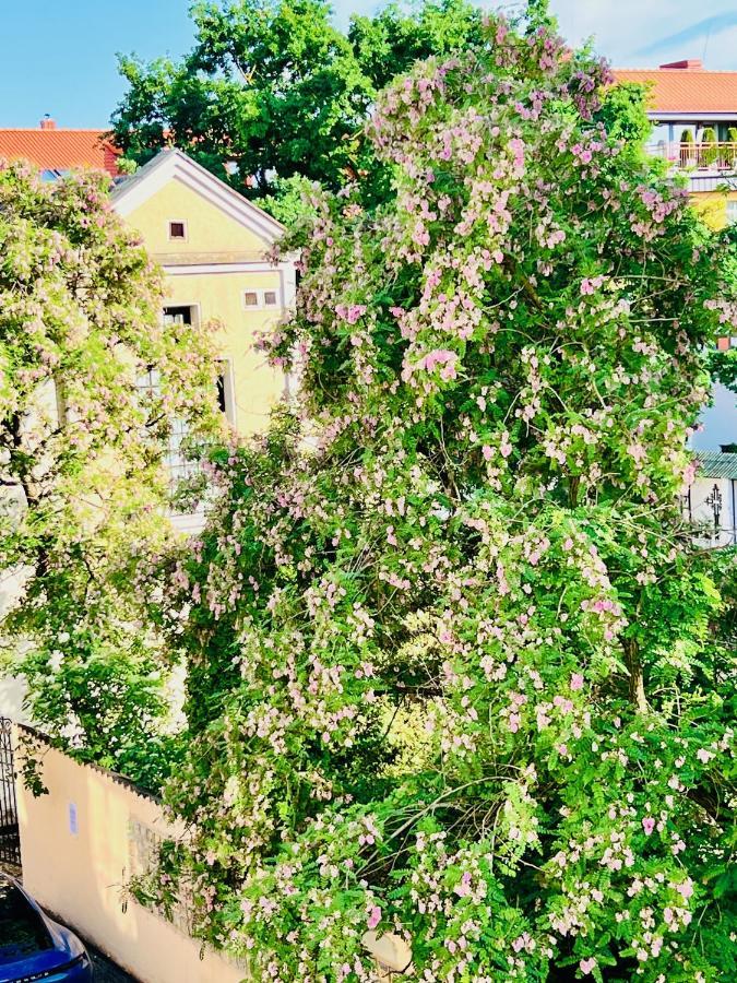 Super Apartment Old Town 克莱佩达 外观 照片