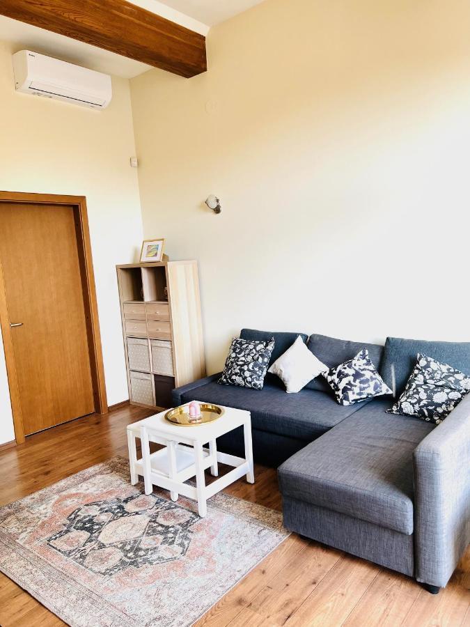 Super Apartment Old Town 克莱佩达 外观 照片